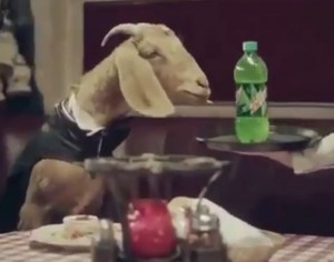 This goat needs a 12-step program.