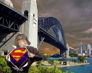 Cross the bridge, save the girl, get the Schmacko.