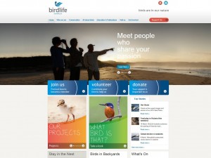This is a smart new site for a newly amalgamated bird nonprofit: Birdlife Australia.